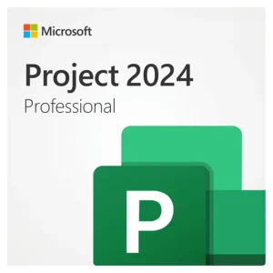 Project Professional 2024